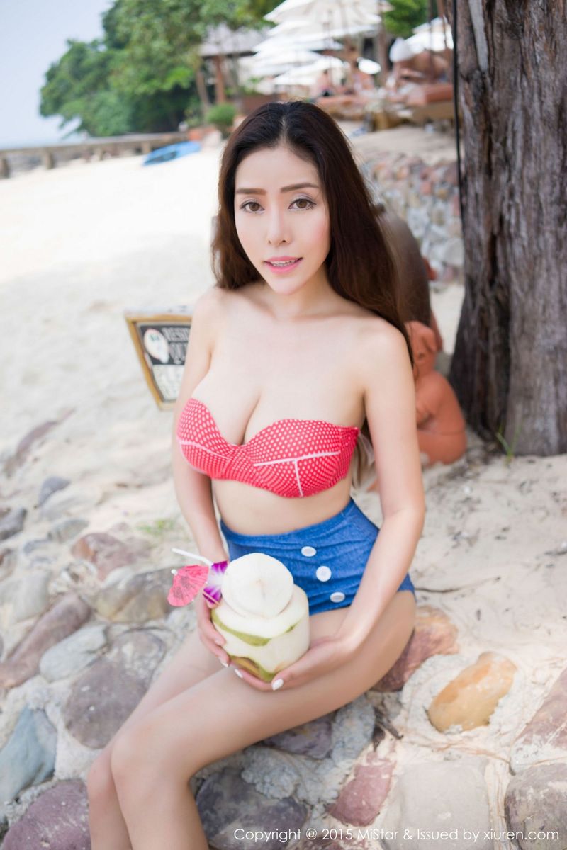 美女模特陈欣比基尼+黑丝透视装傲人妩媚写真