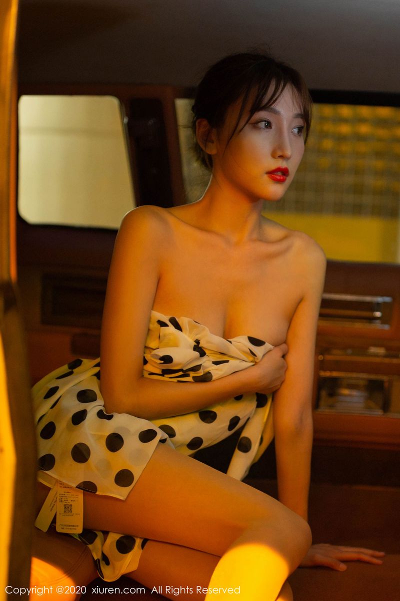 性感女神陆萱萱出租车司机香车美人主题写真