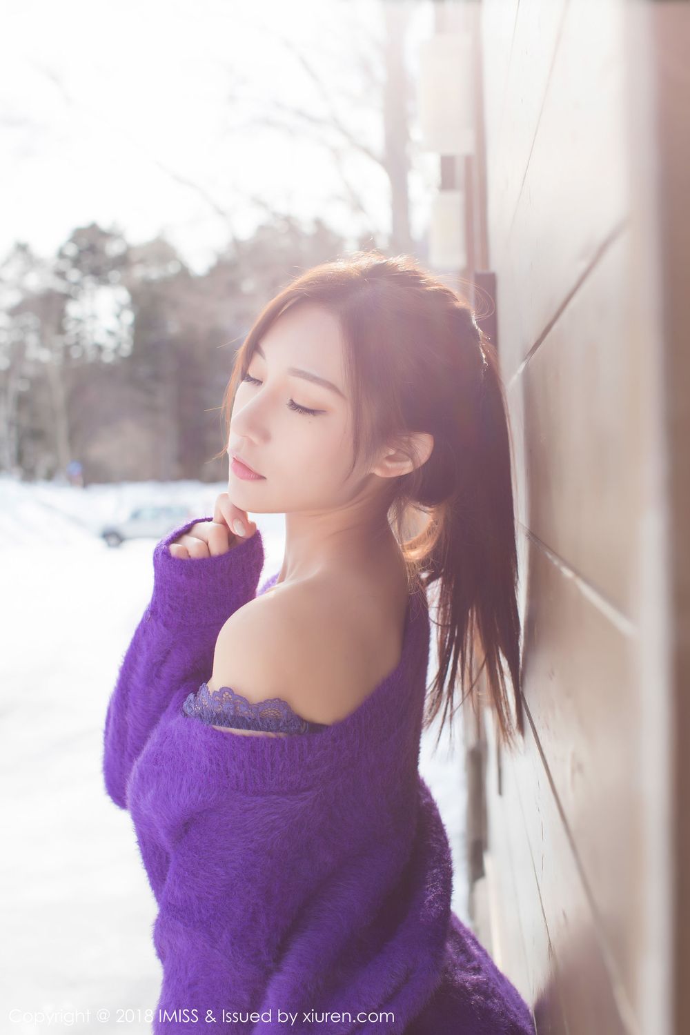 性感女神小狐狸Sica - 丝袜美腿内衣诱惑情迷写真