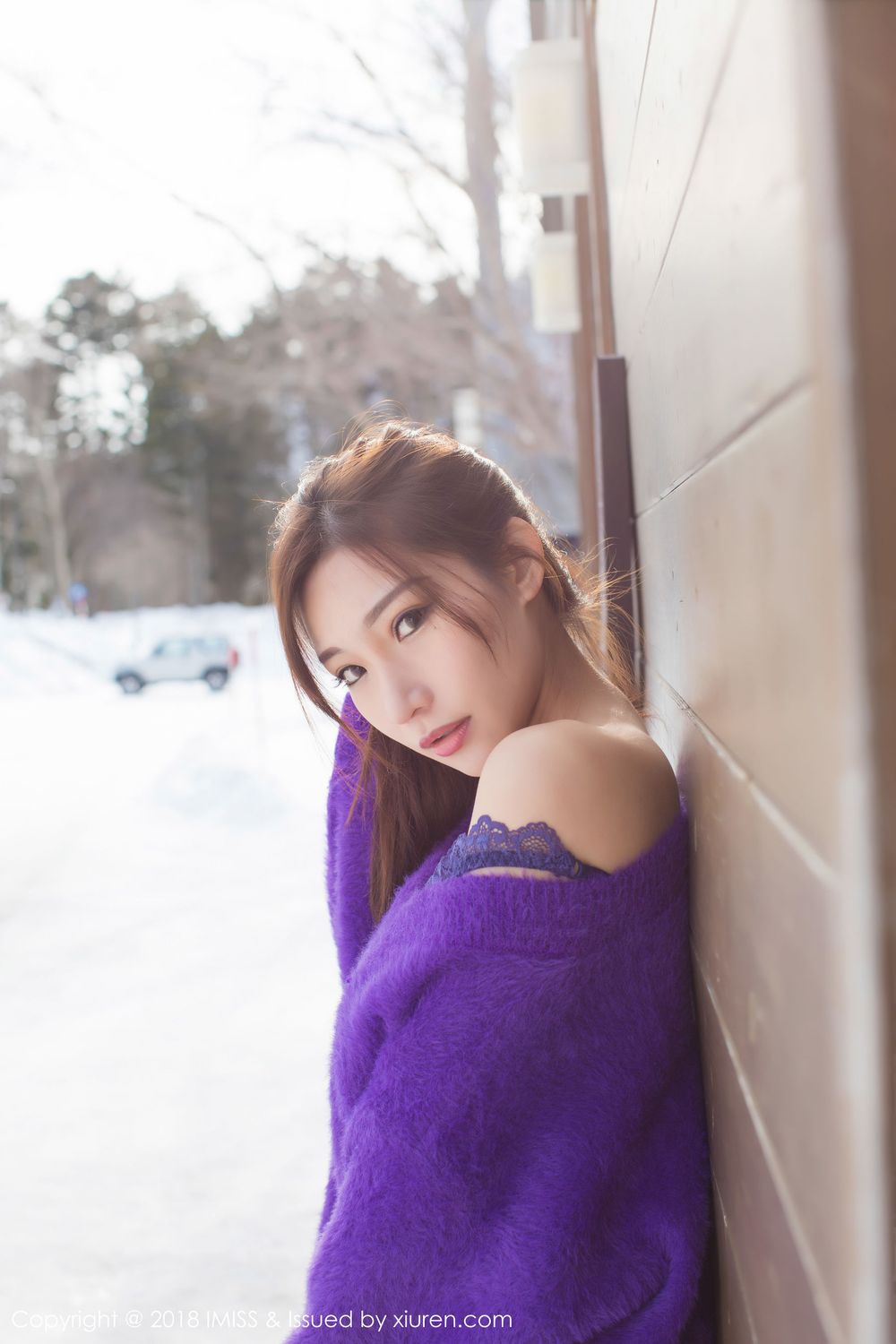 性感女神小狐狸Sica - 丝袜美腿内衣诱惑情迷写真
