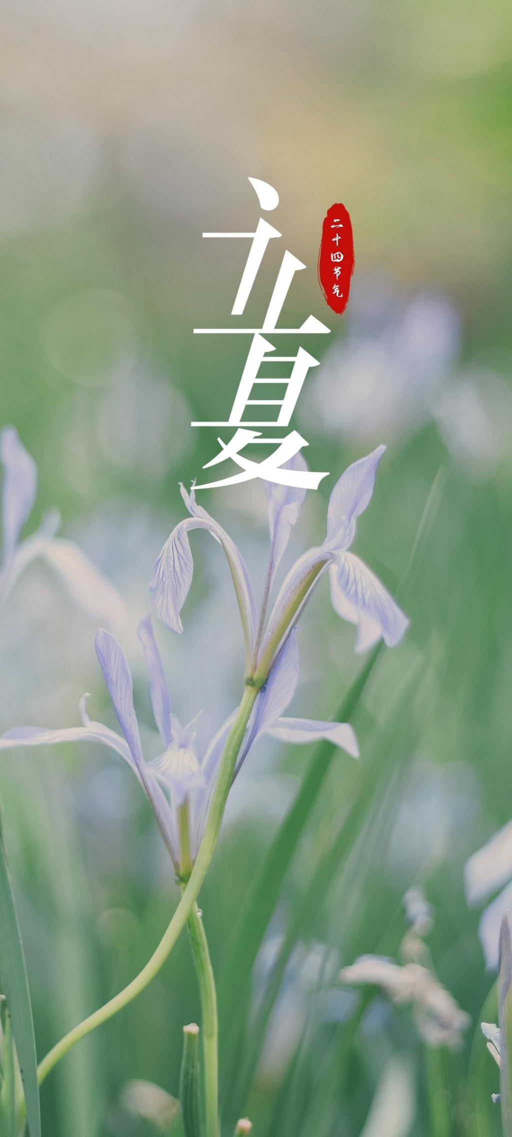 二十四节气之立夏手机壁纸