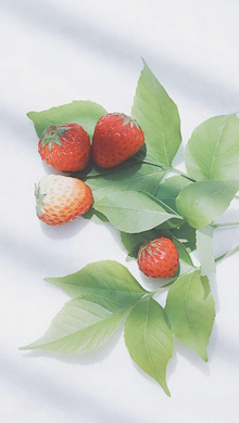 新鲜采摘的小草莓红里透着白手机壁纸