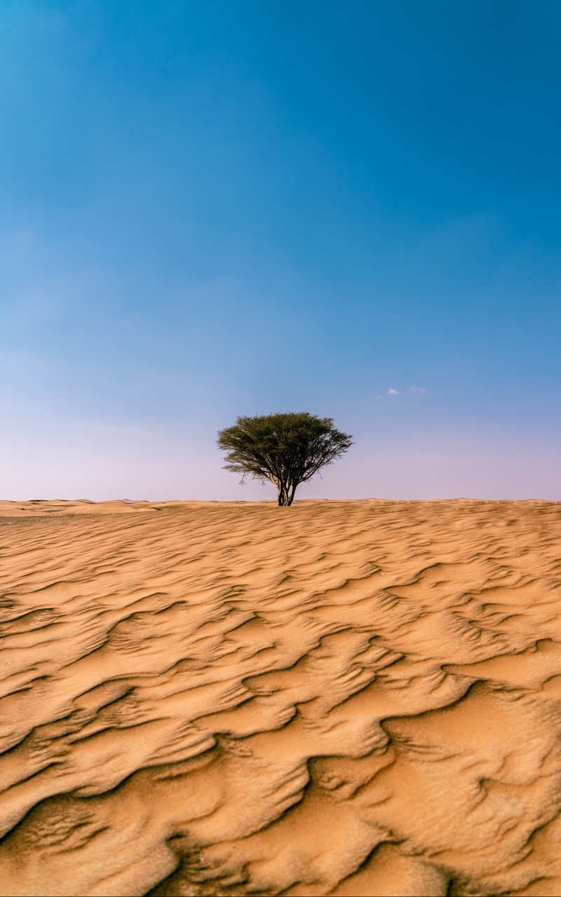 沙漠戈壁茫茫黄沙绝美风景手机壁纸