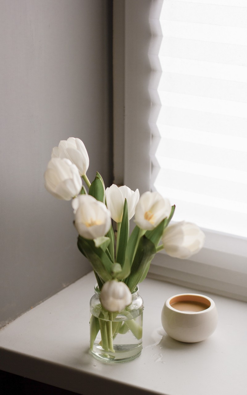 静物鲜花花瓶唯美系列高清图片手机壁纸