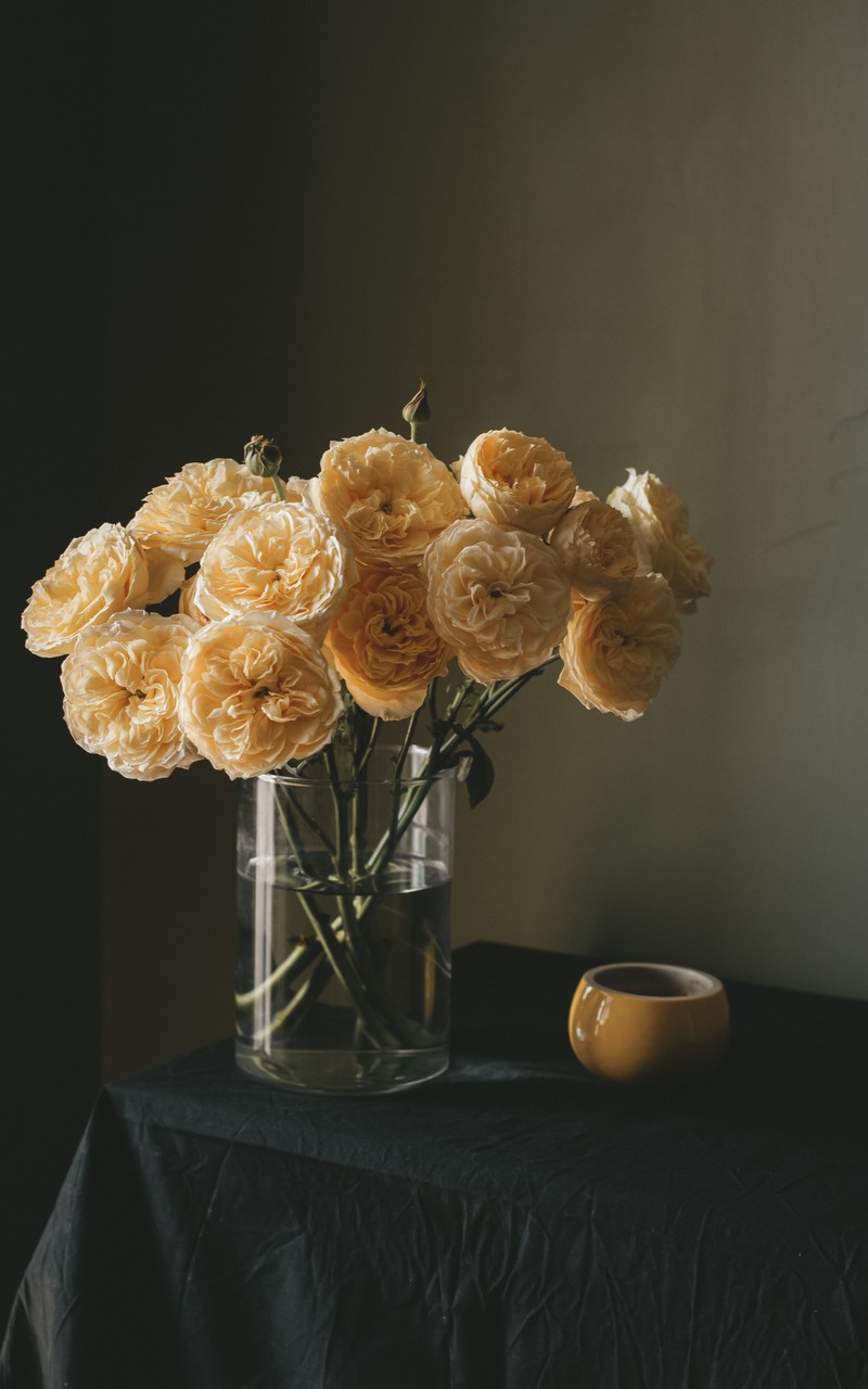 静物鲜花花瓶唯美系列高清图片手机壁纸