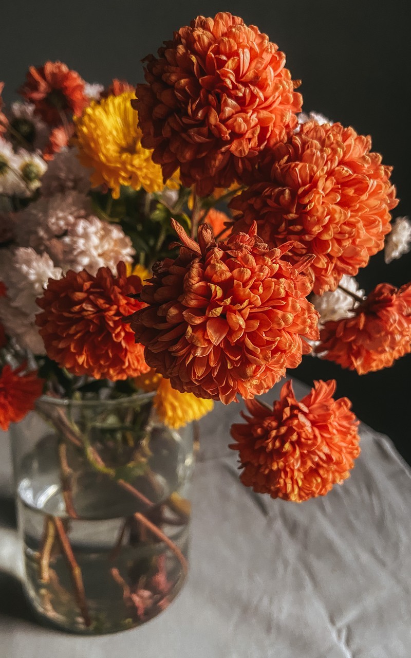 静物鲜花花瓶唯美系列高清图片手机壁纸