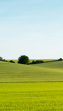 蓝天白云下的绿色草地护眼系列高清手机壁纸