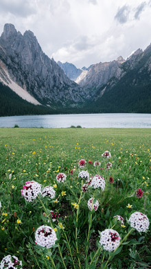 群山下的清澈湖水绿草系列高清手机壁纸